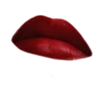 Load image into Gallery viewer, MQ Cosmetics Luscious Lips Semi-gel tint 10ml